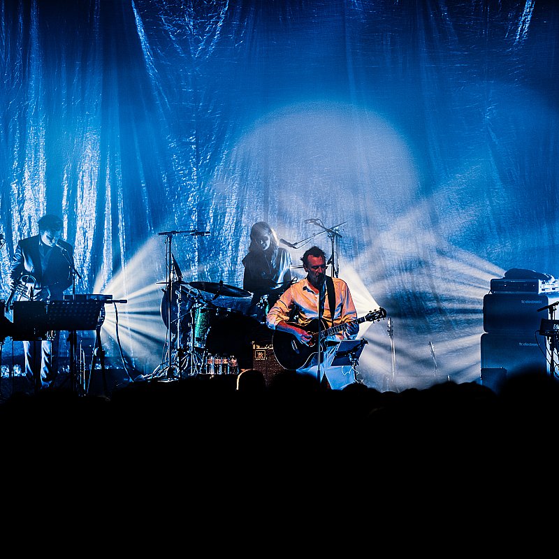 Daan at viernulvier